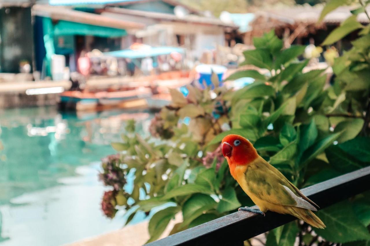 Baan Rabieng Talay Homestay: Tranquil Koh Kood Seaside Retreat Ko Kut Exterior photo